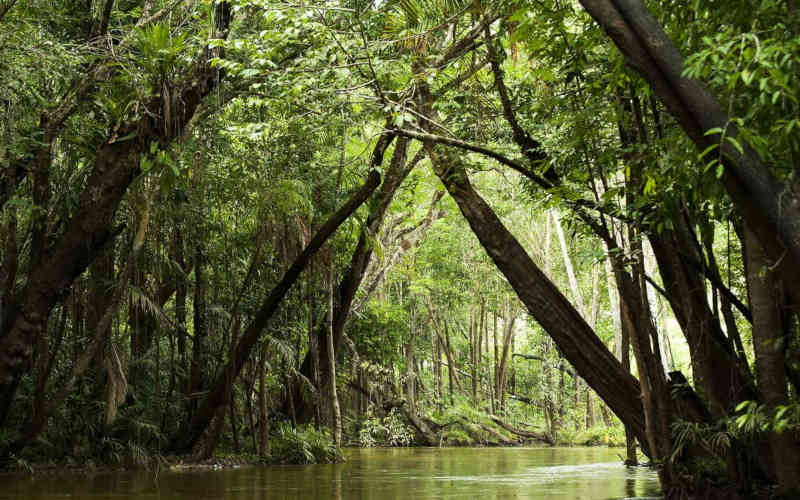 Brasil_meio-ambiente