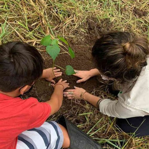 Foto: Instituto de Pesquisas Ecológicas/ Agência Brasil