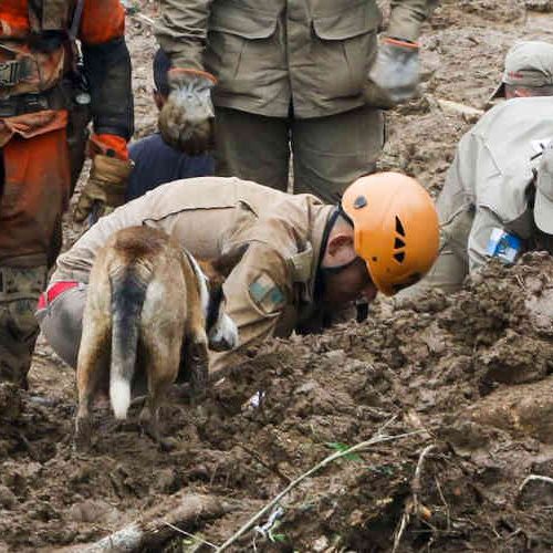 Foto: Tânia RÊgo/ Agência Brasil